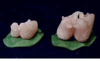 Feng shui for love <br> Rose quartz pair love birds, larger size